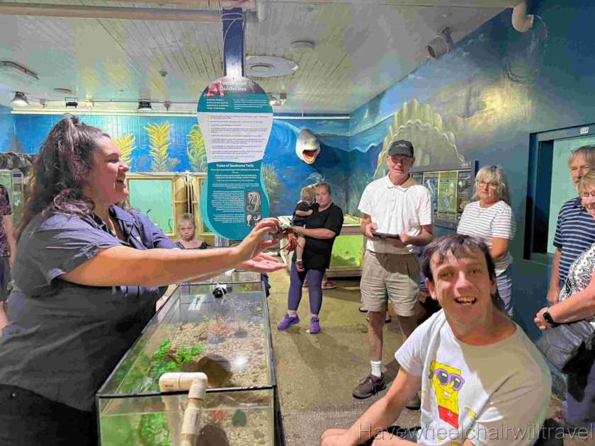 Seahorse World Tasmania - Have Wheelchair Will Travel