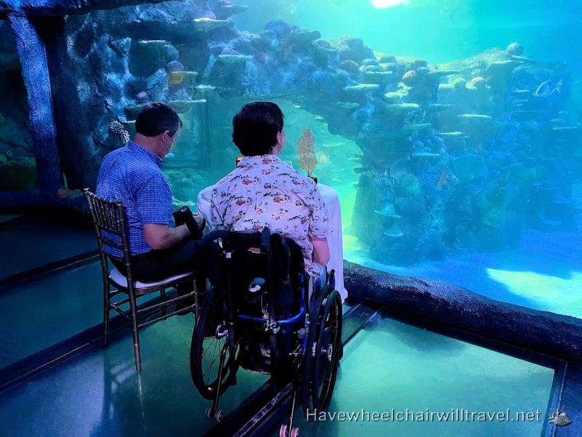 SEA LIFE Sydney Aquarium - accessible Sydney - Have Wheelchair Will Travel