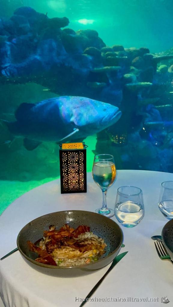 SEA LIFE Sydney Aquarium - accessible Sydney - Have Wheelchair Will Travel