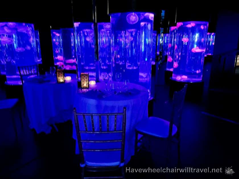 SEA LIFE Sydney Aquarium - accessible Sydney - Have Wheelchair Will Travel