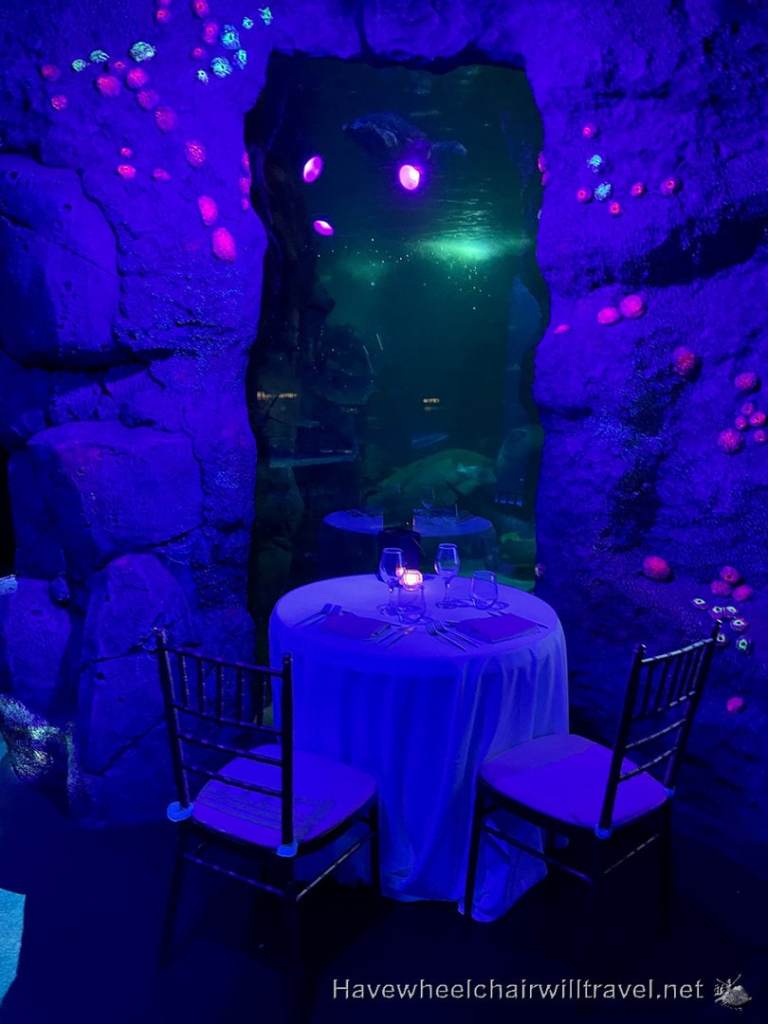 SEA LIFE Sydney Aquarium - accessible Sydney - Have Wheelchair Will Travel