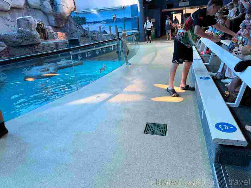 SEA LIFE Sunshine Coast Aquarium review - Have Wheelchair Will Travel 
