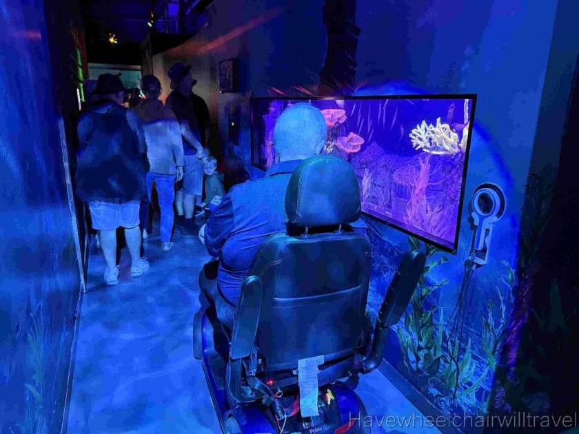 SEA LIFE Sunshine Coast Aquarium review - Have Wheelchair Will Travel 