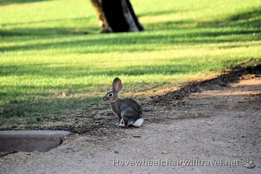 Sheraton Wild Horse Pass - accessible Phoenix Arizona - Have Wheelchair Will Travel
