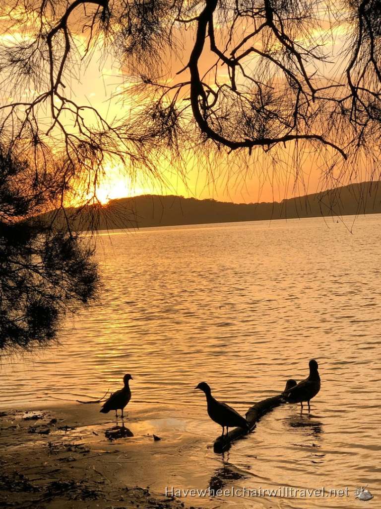 Swansea Lakeside Holiday Park - Have Wheelchair Will Travel