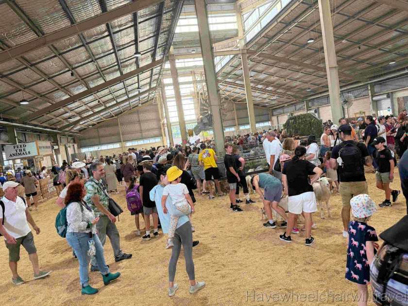 Sydney Royal Easter Show 2025 - Have Wheelchair Will Travel 