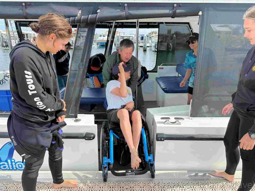 Turquoise Safaris Sea Lion Tours Jurien Bay - Have Wheelchair Will Travel 