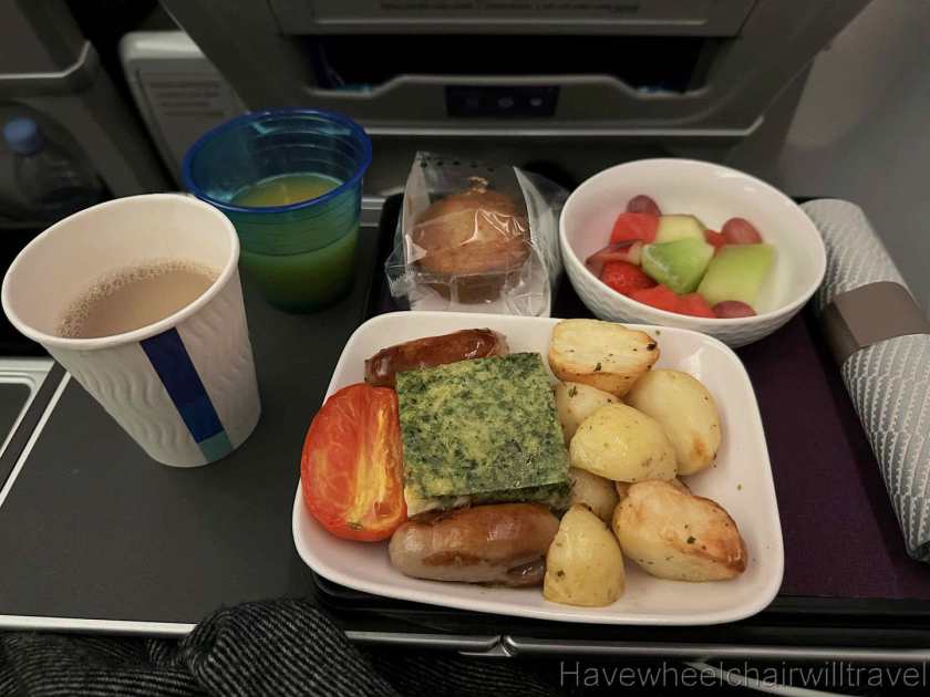 United Airlines Premium Plus review - Have Wheelchair Will Travel