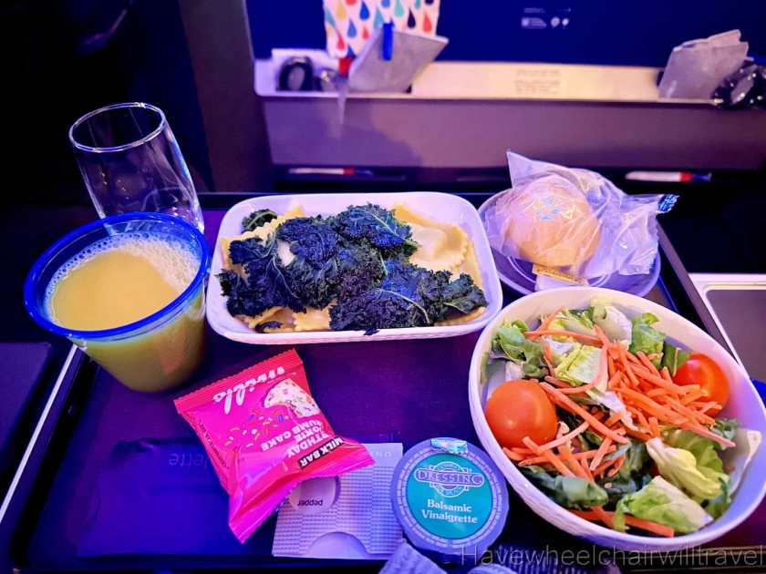 United Airlines Premium Plus review - Have Wheelchair Will Travel