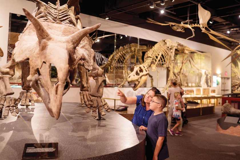 Visit Mesa Advertorial image option