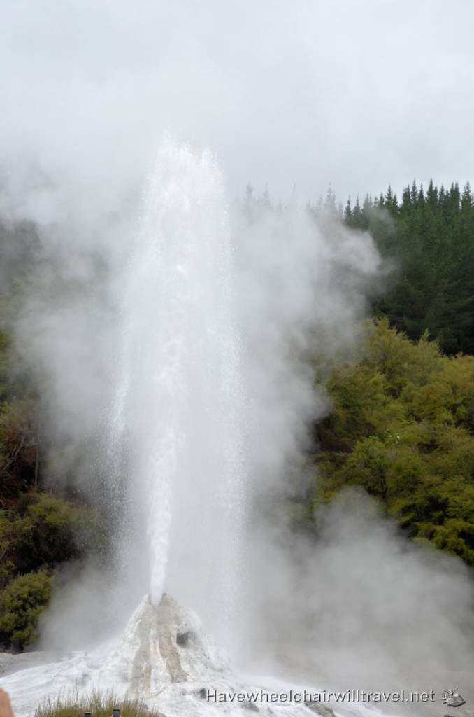 Wai-O-Taupu Thermal Wonderland Lady Knox Geyser - Have Wheelchair Will Travel